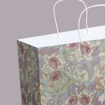 リサイクル生分解性小売食料品ショッピング包装カスタムメイドファーストフードテイクアウェイ衣類包装クラフト紙袋